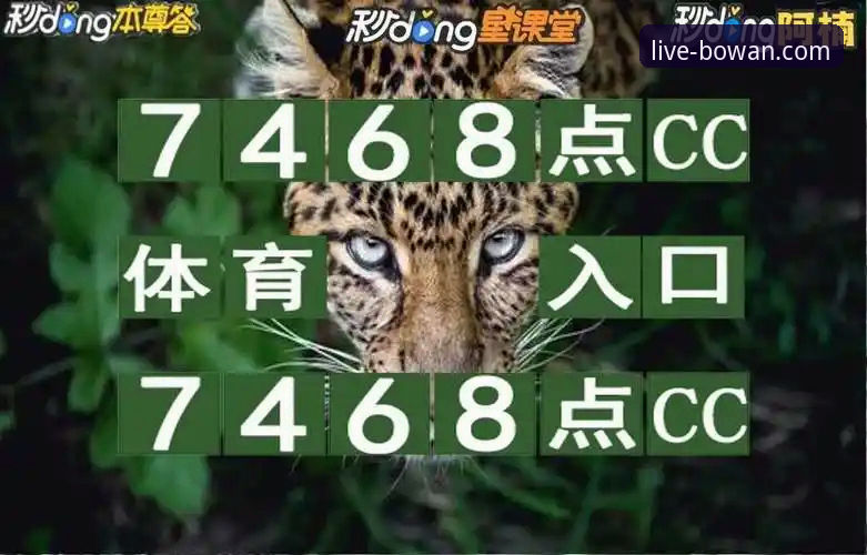 手机观赛必备：博万体育平台4大实用功能深度解析